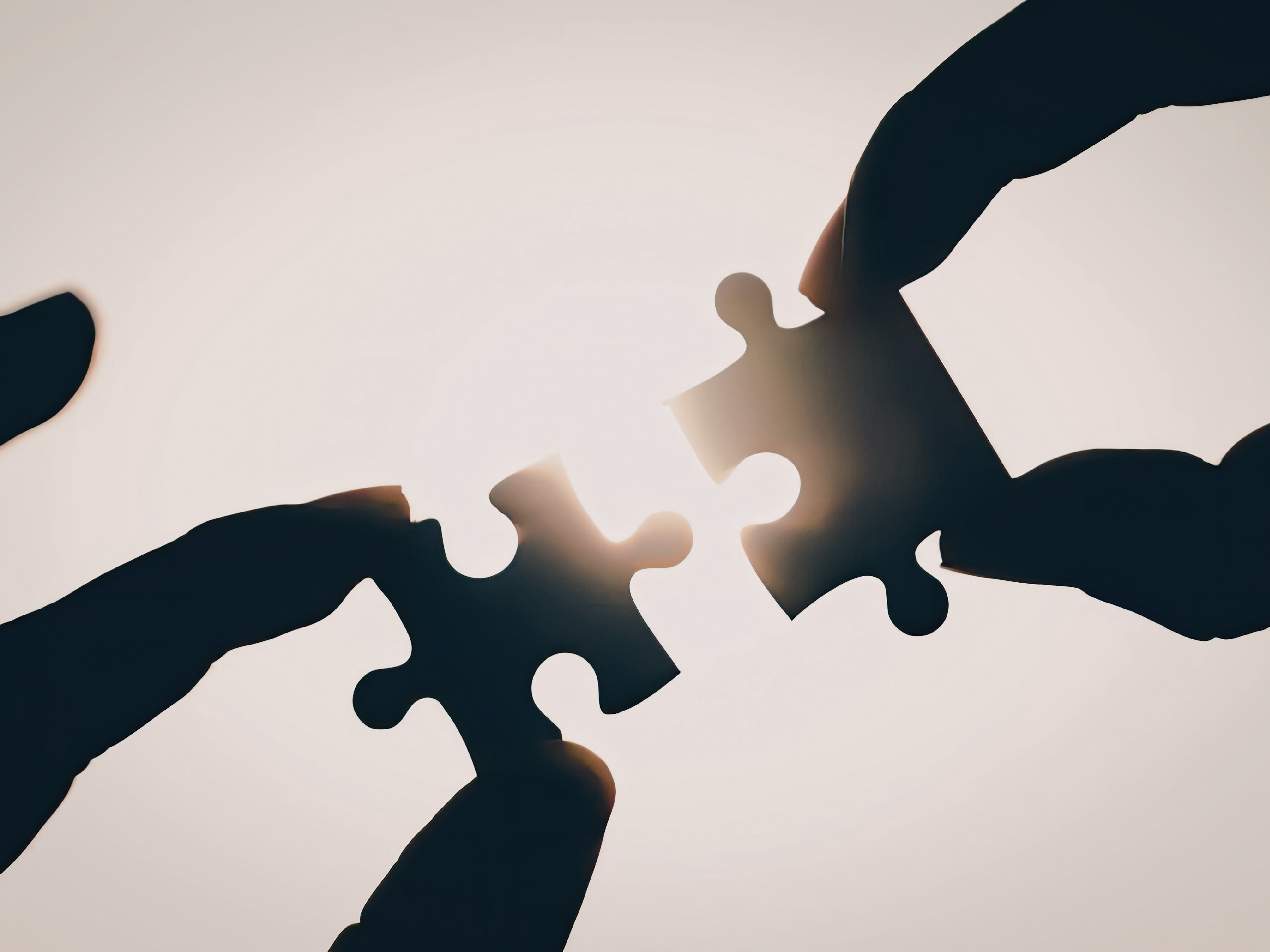 Multicultural Leadership